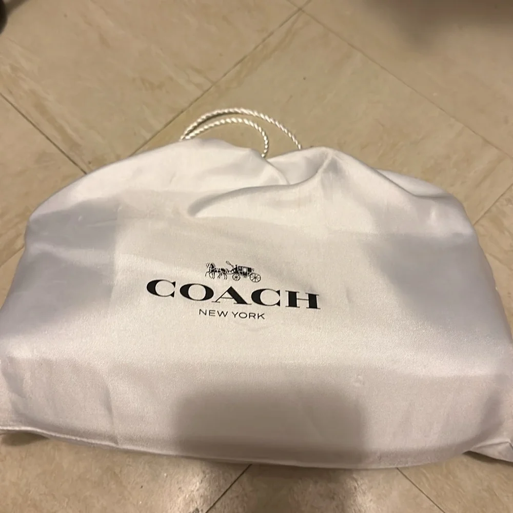 LIGHT BLUE LARGE SIZE COACH PILLOW TABBY - Picture 4 of 9